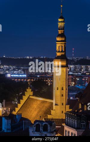 Point de Vue de Kohtuotsa - Clocher de l'église du Saint Esprit Foto Stock