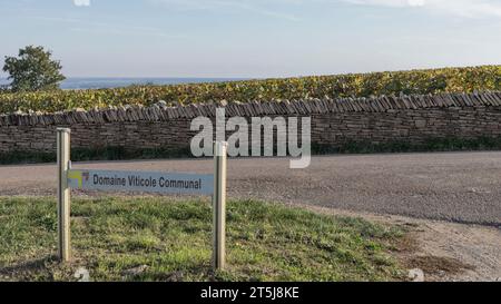 Meursault, Borgogna, Francia - 17 ottobre 2021 - vigneti comunali signa sopra una città borgognona Foto Stock