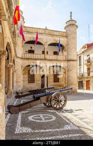 Cannoni fuori dal municipio nella città spagnola di Ciudad Rodrigo in Spagna Foto Stock