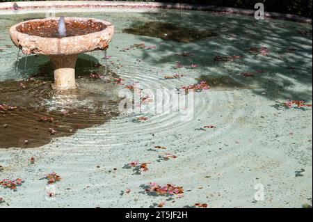 Fontana in pietra in uno stagno con fiori che galleggiano in acque cristalline in una soleggiata giornata autunnale Foto Stock