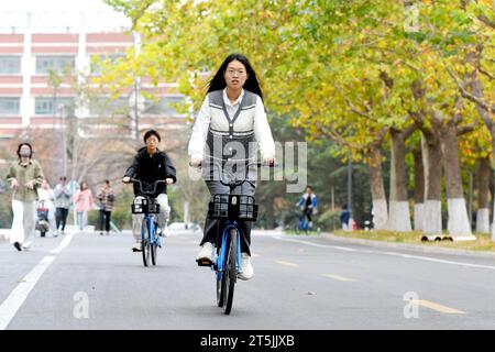 QINGDAO, CINA - 4 NOVEMBRE 2023 - gli studenti universitari cavalcano e camminano su Wutong Avenue presso la Shandong University of Science and Technology nella West Coast Foto Stock