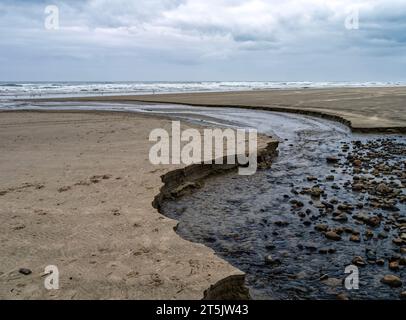 Un torrente sfocia nell'Oceano Pacifico in un giorno coperto vicino a Yachats in Oregon, Stati Uniti Foto Stock