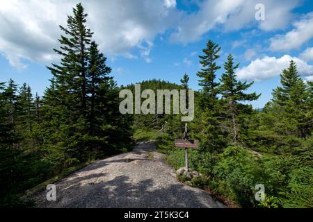 Il cartello del Middle Sister Trail Champney Falls Trail si dirige verso le tre sorelle sul Monte Chocorua. - Albany, New Hampshire Foto Stock