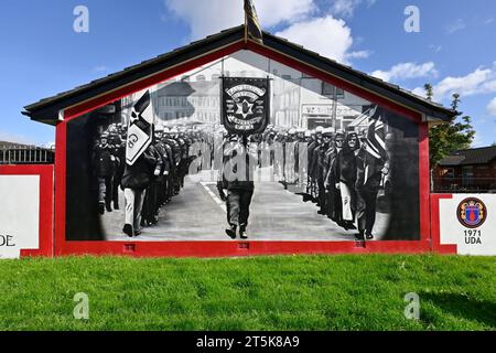 Un murale lealista sulla Newtownards Road East Belfast Irlanda del Nord Foto Stock