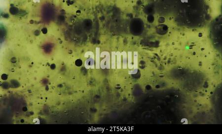 Gel verde goccia d'acqua con inchiostro a bolle d'olio Foto Stock