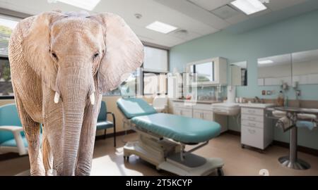 Medici Ufficio esaminatore sala in un ospedale con un elefante nella stanza.. Foto Stock