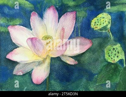 Pittura ad acquerello di fiori di loto. Acquerello su carta. Dipinto a mano. Foto Stock