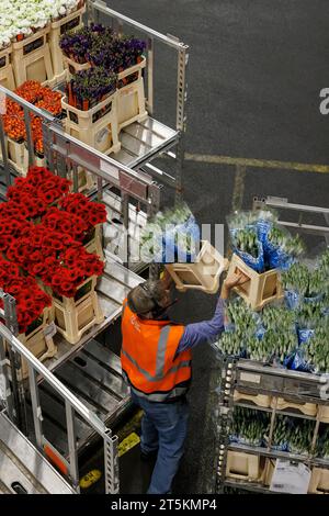 AALSMEER, PAESI BASSI - 6 SETTEMBRE 2022. Aalsmeer Flower Auction è la più grande asta di fiori al mondo; vengono venduti circa 20 milioni di fiori Foto Stock
