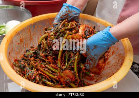 Il processo di preparazione di un piatto tradizionale coreano, il kimchi. Una donna che indossa i guanti sta preparando vari ingredienti necessari per il kimchi. Foto Stock