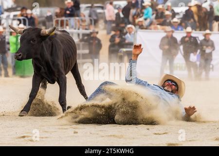 Canberra. 5 novembre 2023. Questa foto scattata il 5 novembre 2023 mostra una scena di gare al Bungendore Rodeo 2023 a Bungendore, Australia. Il Bungendore Rodeo 2023 attrae i migliori concorrenti da tutto il mondo. Crediti: Chu Chen/Xinhua/Alamy Live News Foto Stock