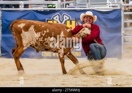 Canberra. 5 novembre 2023. Questa foto scattata il 5 novembre 2023 mostra una scena di gare al Bungendore Rodeo 2023 a Bungendore, Australia. Il Bungendore Rodeo 2023 attrae i migliori concorrenti da tutto il mondo. Crediti: Chu Chen/Xinhua/Alamy Live News Foto Stock