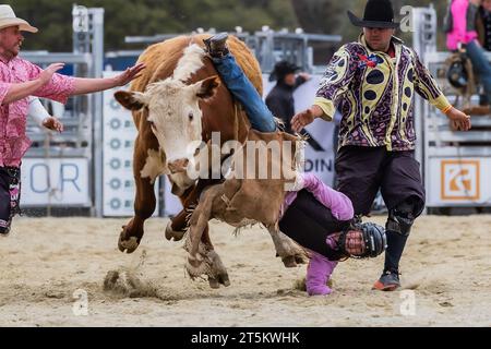 Canberra. 5 novembre 2023. Questa foto scattata il 5 novembre 2023 mostra una scena di gare al Bungendore Rodeo 2023 a Bungendore, Australia. Il Bungendore Rodeo 2023 attrae i migliori concorrenti da tutto il mondo. Crediti: Chu Chen/Xinhua/Alamy Live News Foto Stock