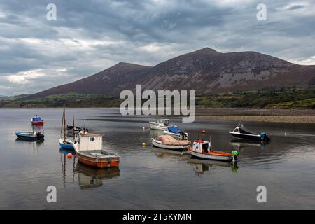 Trefor Sea Stacks sulla costa della penisola di Llyn, Galles del Nord. Foto Stock