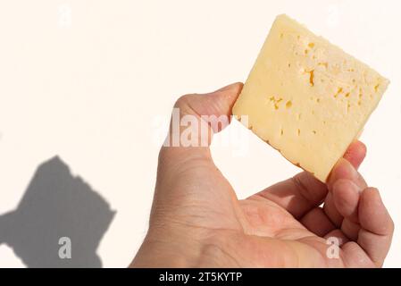Un pezzo di formaggio ammuffito nelle mani di un agricoltore che lo sta ispezionando Foto Stock