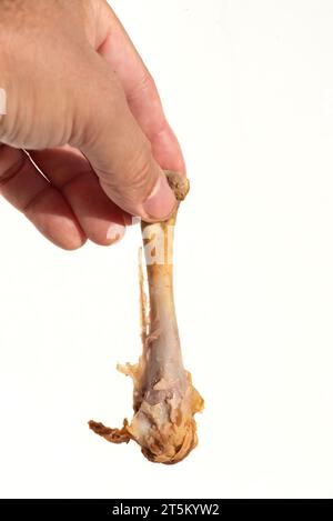 Mano maschile che tiene un osso di pollo tra le dita Foto Stock