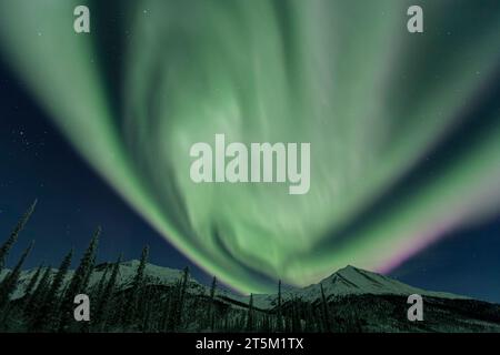 Aurora boreale a Dalton Highway, Brooks Range, Alaska, USA, inverno Foto Stock