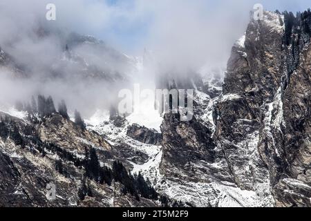 Picchi svizzeri Foto Stock