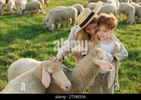 Madre e figlio accarezzano le pecore al pascolo. Animali da fattoria Foto Stock