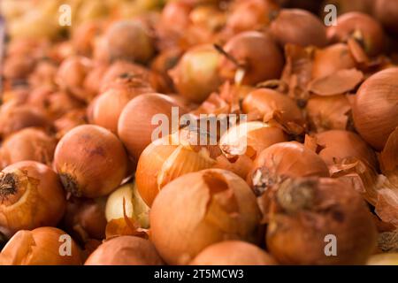 Cipolla bulbo in cesti di vimini al banco del mercato Foto Stock