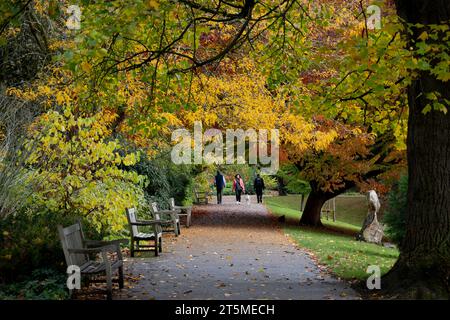 Jephson Giardini in autunno, Leamington Spa Warwickshire, Inghilterra, Regno Unito Foto Stock