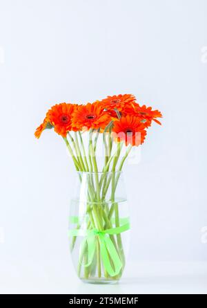 Bouquet di bellissimi fiori di gerbera. Foto Stock