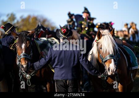 6 novembre 2023, Bavaria, Bad Tölz: Un partecipante alla corsa Leonhardi a Bad Tölz tiene due cavalli al bridle. Foto: Lennart Preiss/dpa Foto Stock