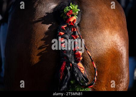 6 novembre 2023, Bavaria, Bad Tölz: La coda di un cavallo è decorata con nastri e fiori per la corsa Leonhardi a Bad Tölz. Foto: Lennart Preiss/dpa Foto Stock