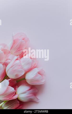 Bellissimo bouquet di fiori di tulipano rosa pastello. Posiziona per testo. Foto Stock