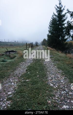 Strada in campagna. Percorso mattutino nebbioso nel villaggio dei Carpazi. Sentiero in campo autunnale con recinzione. Strada rurale sporca nella nebbia mattutina. Foto Stock