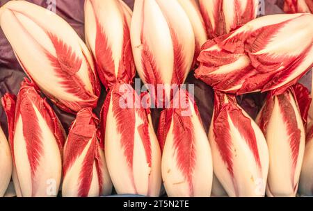 Red endives sulla bancarella del mercato agricolo. Primo piano. Foto Stock