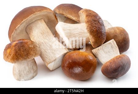Gruppo di funghi porcini isolati su fondo bianco. Foto Stock
