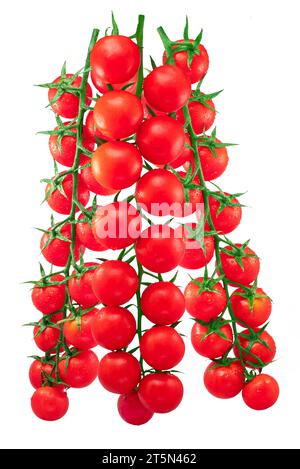 Tre pomodori ciliegini rossi sul ramo con gocce d'acqua isolate su sfondo bianco. Foto Stock