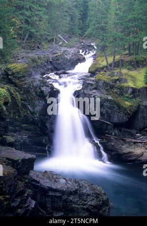 Silver Falls, Mt Rainier National Park, Washington Foto Stock