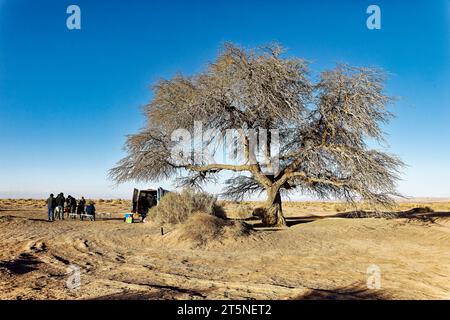 Paesaggi lunari del deserto di Atacama - Cile - San Pedro de Atacama Foto Stock