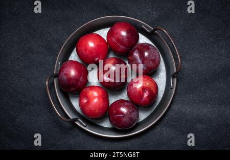 Succose prugne viola fresche e mature in un recipiente metallico su sfondo nero Foto Stock