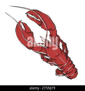 Aragosta rossa in stile schizzo. Illustrazione disegnata a mano, isolata su sfondo bianco. Elemento grafico per il logo o il menu del ristorante di pesce. Foto Stock