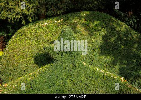 yew siedere con topiario al cimitero di Wetter an der Ruhr, Renania settentrionale-Vestfalia, Germania. Eibenhecke mit Formschnitt auf dem Friedhof a Wetter A. Foto Stock