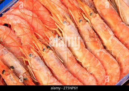 gamberi surgelati in un mercato, primo piano della foto Foto Stock