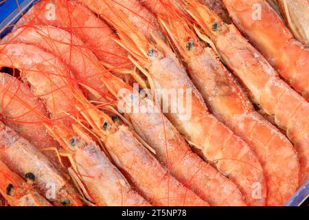 gamberi surgelati in un mercato, primo piano della foto Foto Stock