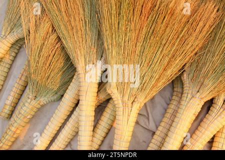 frullare la scopa, primo piano della foto Foto Stock