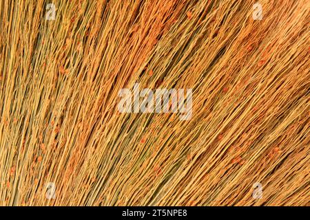frullare la scopa, primo piano della foto Foto Stock