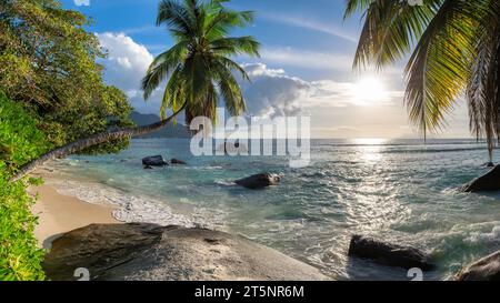 Tramonto su esotica spiaggia tropicale e palme da cocco sulle Seychelles. Vacanze estive e spiaggia tropicale. Foto Stock