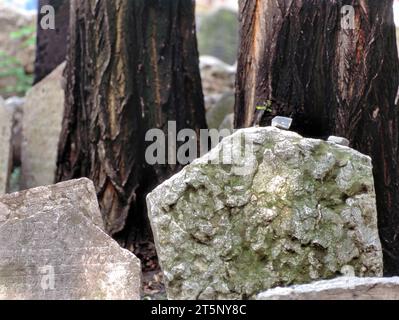 PRAGA, REPUBBLICA CECA - 3 SETTEMBRE 2023: Antiche tombe del cimitero ebraico a Praga, Repubblica Ceca. Centinaia di lapidi si accumularono una contro l'altra Foto Stock