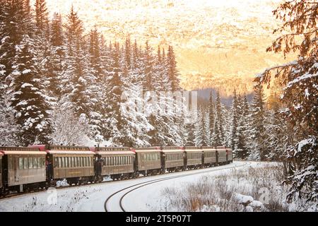 Skagway è una città compatta dell'Alaska sudorientale, con vista sul White Pass e sulla Yukon Route dal treno Foto Stock