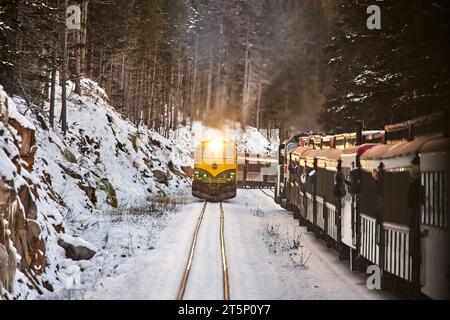 Skagway è una città compatta dell'Alaska sudorientale, con vista sul White Pass e sulla Yukon Route dal treno o da alcuni rottami Foto Stock