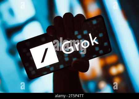 Brasile. 6 novembre 2023. In questa immagine, il logo Grok viene visualizzato sullo schermo di uno smartphone. Grok è un chatbot di intelligenza artificiale associato al social network X, creato da Elon Musk. Credito: SOPA Images Limited/Alamy Live News Foto Stock