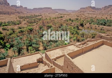 Wadi Dawan è una città e una valle desertica nello Yemen centrale. Situato nel Governatorato di Hadhramaut, è noto per i suoi edifici in mattoni di fango. Foto Stock