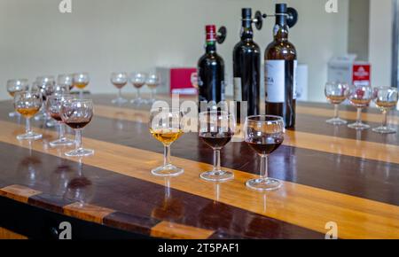 Bicchieri e bottiglie sono state disposte sul tavolo per la degustazione di vini portuali presso la Real Companhia Velha di Porto, Portogallo, il 14 ottobre 2023 Foto Stock