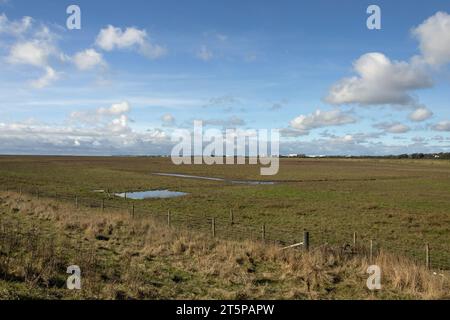 Le paludi di Ribble che guardano verso il fiume Ribble e la costa di Fylde a Warton e Lytham Foto Stock