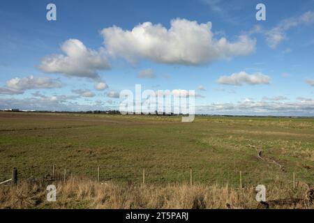 Le paludi di Ribble che guardano verso il fiume Ribble e la costa di Fylde a Warton e Lytham Foto Stock